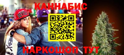 сатива Будённовск