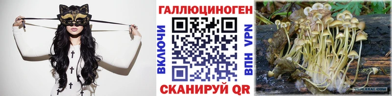 Галлюциногенные грибы GOLDEN TEACHER  как найти   Железноводск 